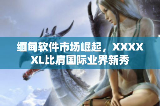 緬甸軟件市場崛起，XXXXXL比肩國際業(yè)界新秀