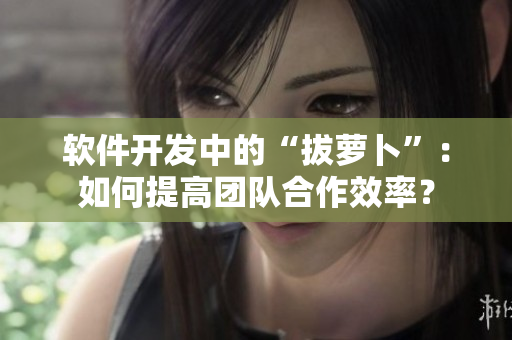 軟件開(kāi)發(fā)中的“拔蘿卜”：如何提高團(tuán)隊(duì)合作效率？