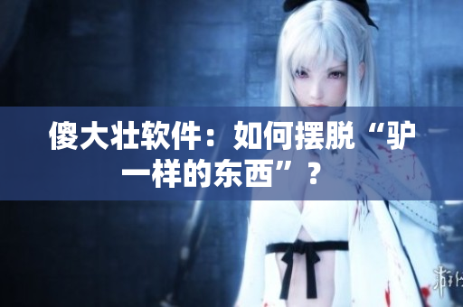 傻大壯軟件：如何擺脫“驢一樣的東西”？ 