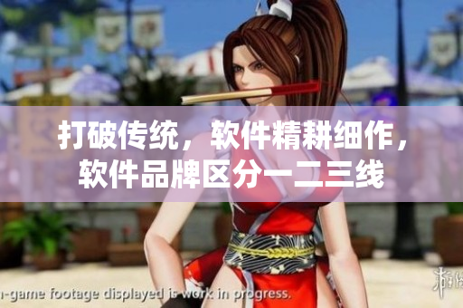 打破傳統(tǒng)，軟件精耕細(xì)作，軟件品牌區(qū)分一二三線