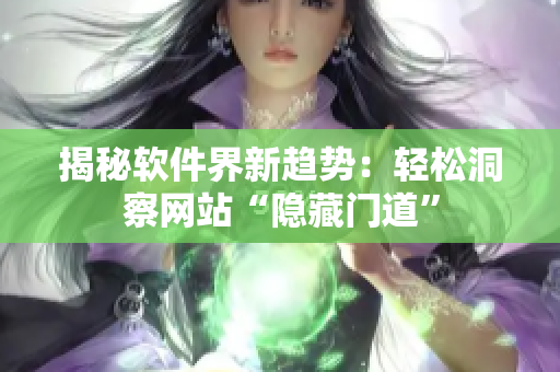 揭秘軟件界新趨勢(shì)：輕松洞察網(wǎng)站“隱藏門道”