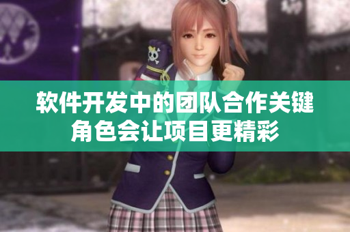 軟件開發(fā)中的團(tuán)隊(duì)合作關(guān)鍵角色會(huì)讓項(xiàng)目更精彩