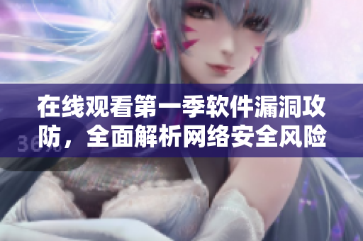 在線觀看第一季軟件漏洞攻防，全面解析網(wǎng)絡安全風險管理