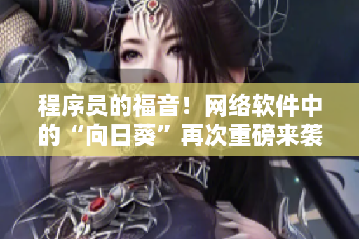 程序員的福音！網(wǎng)絡(luò)軟件中的“向日葵”再次重磅來襲！