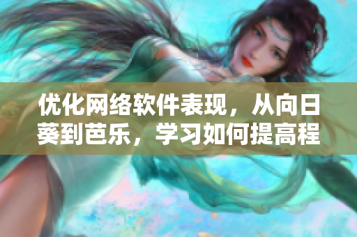 優(yōu)化網(wǎng)絡(luò)軟件表現(xiàn)，從向日葵到芭樂，學習如何提高程序性能