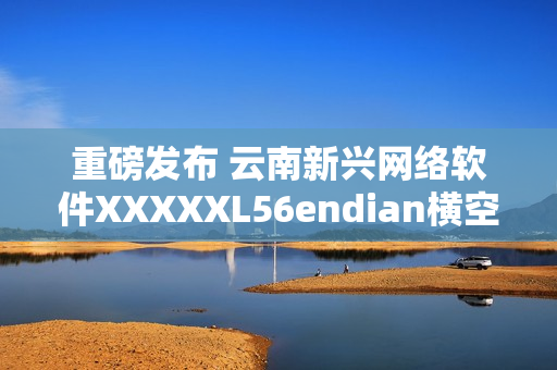 重磅發(fā)布 云南新興網(wǎng)絡(luò)軟件XXXXXL56endian橫空出世