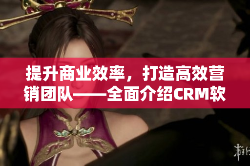 提升商業(yè)效率，打造高效營(yíng)銷(xiāo)團(tuán)隊(duì)——全面介紹CRM軟件的實(shí)用功能與優(yōu)勢(shì)
