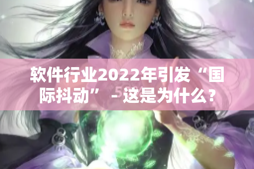 軟件行業(yè)2022年引發(fā)“國際抖動” - 這是為什么？