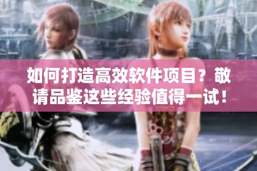 如何打造高效軟件項目？敬請品鑒這些經(jīng)驗值得一試！