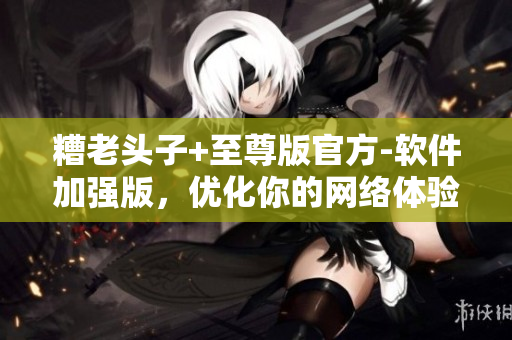 糟老頭子+至尊版官方-軟件加強(qiáng)版，優(yōu)化你的網(wǎng)絡(luò)體驗(yàn)！