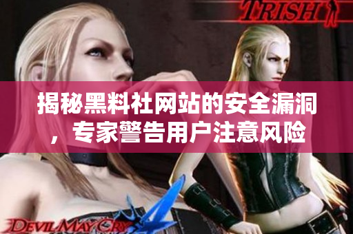 揭秘黑料社網(wǎng)站的安全漏洞，專家警告用戶注意風(fēng)險(xiǎn)