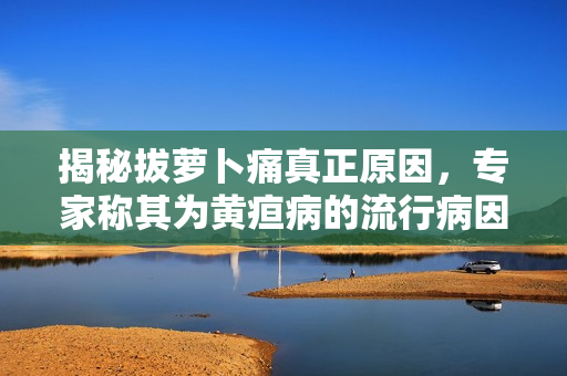 揭秘拔蘿卜痛真正原因，專家稱其為黃疸病的流行病因