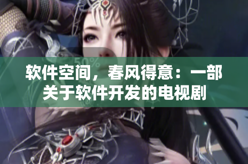 軟件空間，春風(fēng)得意：一部關(guān)于軟件開發(fā)的電視劇