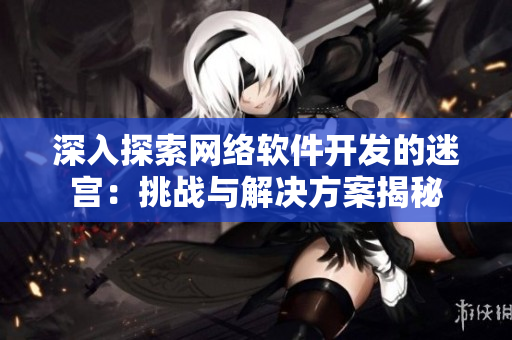 深入探索網(wǎng)絡軟件開發(fā)的迷宮：挑戰(zhàn)與解決方案揭秘