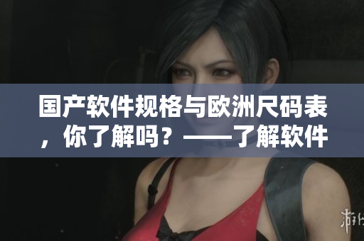 國產(chǎn)軟件規(guī)格與歐洲尺碼表，你了解嗎？——了解軟件規(guī)格對軟件開發(fā)至關(guān)重要