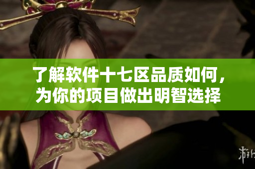 了解軟件十七區(qū)品質如何，為你的項目做出明智選擇