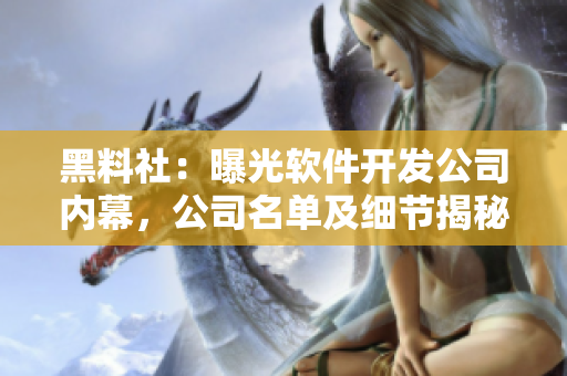 黑料社：曝光軟件開發(fā)公司內(nèi)幕，公司名單及細(xì)節(jié)揭秘！