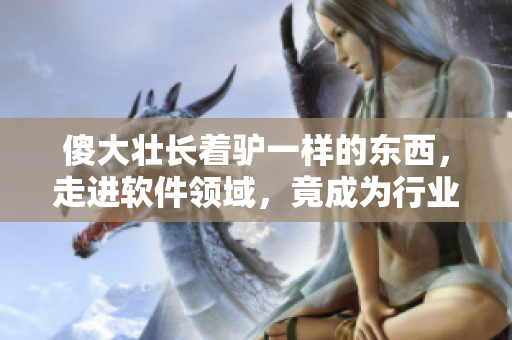 傻大壯長著驢一樣的東西，走進(jìn)軟件領(lǐng)域，竟成為行業(yè)翹楚