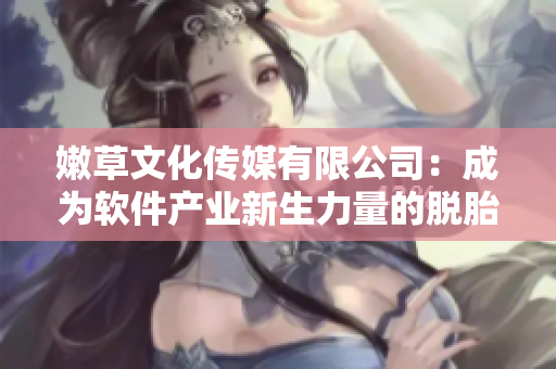 嫩草文化傳媒有限公司：成為軟件產(chǎn)業(yè)新生力量的脫胎換骨！