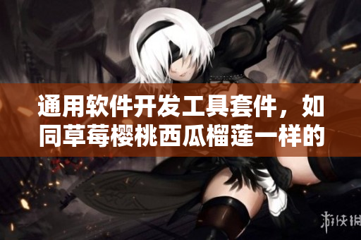 通用軟件開發(fā)工具套件，如同草莓櫻桃西瓜榴蓮一樣的全方位包裝盒