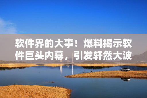 軟件界的大事！爆料揭示軟件巨頭內(nèi)幕，引發(fā)軒然大波！
