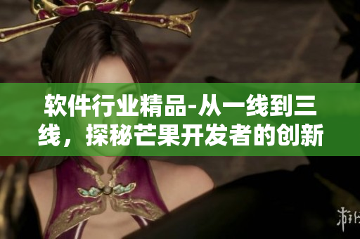 軟件行業(yè)精品-從一線到三線，探秘芒果開發(fā)者的創(chuàng)新之路