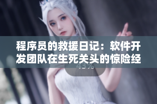 程序員的救援日記：軟件開發(fā)團隊在生死關(guān)頭的驚險經(jīng)歷