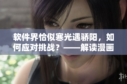 軟件界恰似寒光遇驕陽，如何應對挑戰(zhàn)？——解讀漫畫下拉式六52話