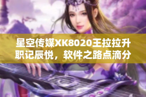 星空傳媒XK8020王拉拉升職記辰悅，軟件之路點(diǎn)滴分享