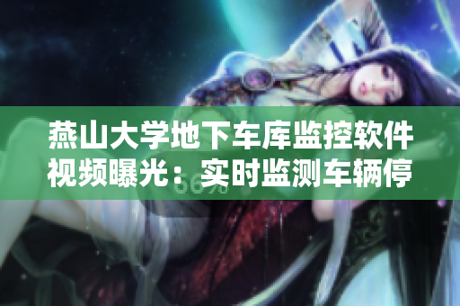 燕山大學地下車庫監(jiān)控軟件視頻曝光：實時監(jiān)測車輛停靠情況!