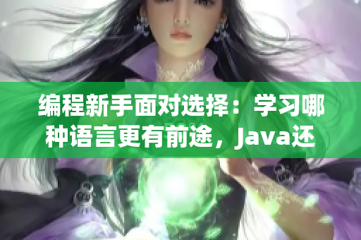 編程新手面對選擇：學(xué)習(xí)哪種語言更有前途，Java還是Python？