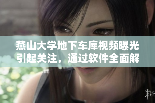 燕山大學(xué)地下車庫(kù)視頻曝光引起關(guān)注，通過(guò)軟件全面解讀事件始末