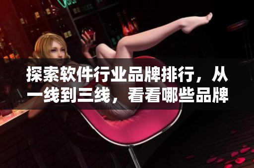 探索軟件行業(yè)品牌排行，從一線到三線，看看哪些品牌久久在行！