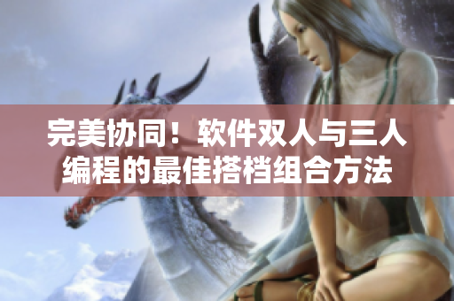 完美協(xié)同！軟件雙人與三人編程的最佳搭檔組合方法