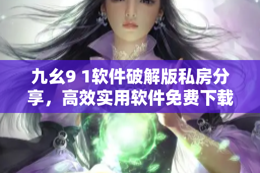 九幺9 1軟件破解版私房分享，高效實(shí)用軟件免費(fèi)下載