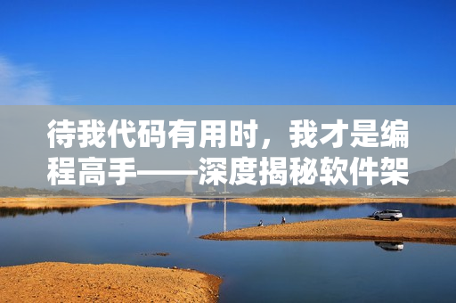 待我代碼有用時，我才是編程高手——深度揭秘軟件架構(gòu)設(shè)計