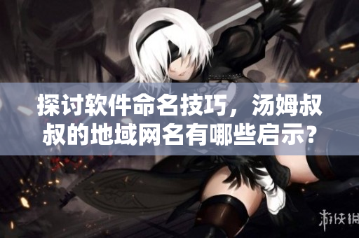 探討軟件命名技巧，湯姆叔叔的地域網(wǎng)名有哪些啟示？