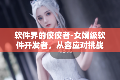 軟件界的佼佼者-女婿級(jí)軟件開發(fā)者，從容應(yīng)對(duì)挑戰(zhàn)