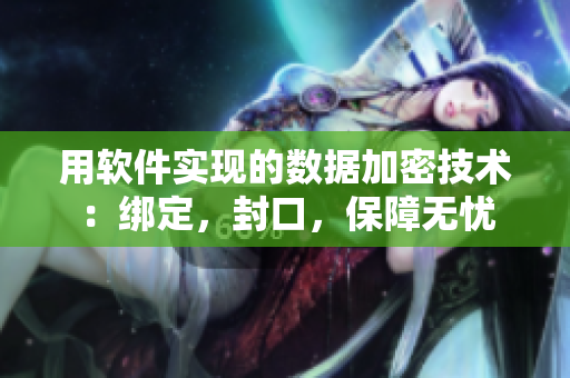 用軟件實現(xiàn)的數(shù)據(jù)加密技術(shù)：綁定，封口，保障無憂
