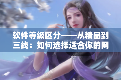 軟件等級區(qū)分——從精品到三線：如何選擇適合你的網(wǎng)絡(luò)軟件