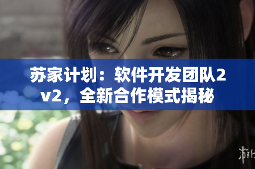蘇家計(jì)劃：軟件開(kāi)發(fā)團(tuán)隊(duì)2v2，全新合作模式揭秘
