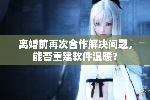 離婚前再次合作解決問題，能否重建軟件溫暖？