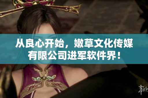 從良心開(kāi)始，嫩草文化傳媒有限公司進(jìn)軍軟件界！