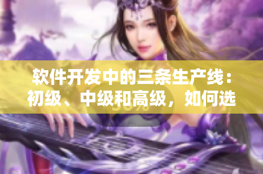 軟件開發(fā)中的三條生產(chǎn)線：初級(jí)、中級(jí)和高級(jí)，如何選取優(yōu)質(zhì)軟件配件