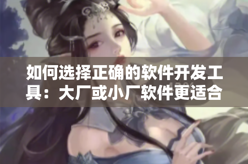 如何選擇正確的軟件開發(fā)工具：大廠或小廠軟件更適合？