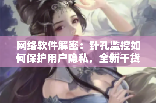 網(wǎng)絡(luò)軟件解密：針孔監(jiān)控如何保護(hù)用戶(hù)隱私，全新干貨分享！