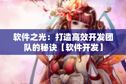軟件之光：打造高效開發(fā)團隊的秘訣【軟件開發(fā)】