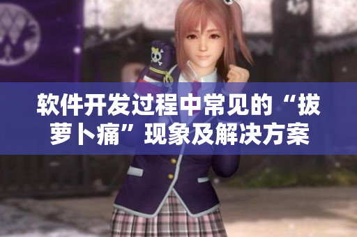 軟件開發(fā)過程中常見的“拔蘿卜痛”現(xiàn)象及解決方案