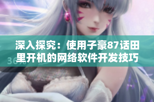 深入探究：使用子豪87話田里開機的網(wǎng)絡(luò)軟件開發(fā)技巧