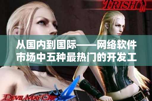 從國內(nèi)到國際——網(wǎng)絡(luò)軟件市場中五種最熱門的開發(fā)工具排行榜